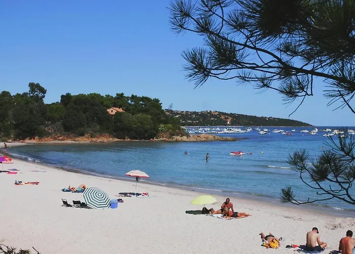 Near Pinarellu Bay Appartamento *