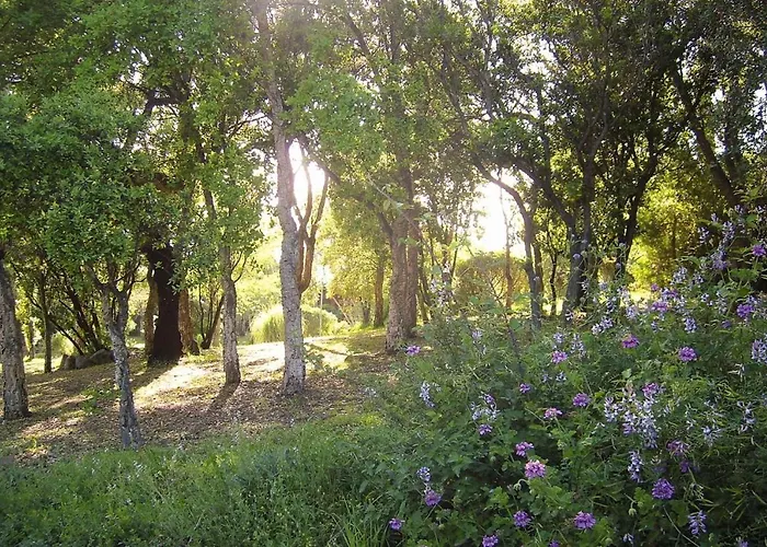 Near Pinarellu Bay * Zonza