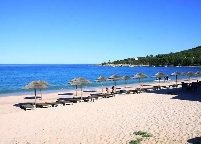 Appartamento Near Pinarellu Bay